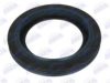 BTA B06-2003 Shaft Seal, wheel hub